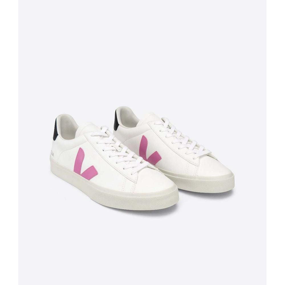 Veja CAMPO CHROMEFREE Women's Low Tops Sneakers White/Purple | NZ 597FDN